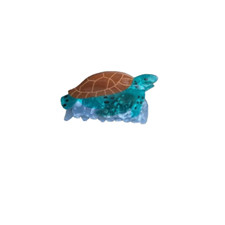 New sea turtle for sale  Miami