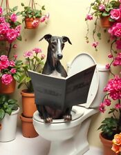 Whippet toilet metal for sale  DUNSTABLE