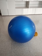 Gymnastic gym ball usato  Zone