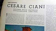 Cesare ciani beppe usato  Torino