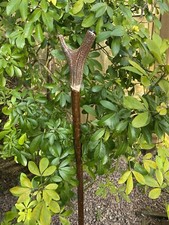 Red deer antler for sale  LEDBURY