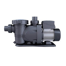 Gre pp152 pompa usato  Roccagloriosa