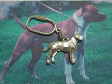 Pitbull portachiavi argento usato  Isolabona