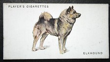 Elkhound vintage 1931 for sale  DERBY