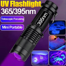 Flashlight led ultraviolet for sale  NEWCASTLE UPON TYNE