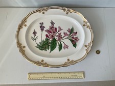 Rare vintage spode for sale  MARGATE