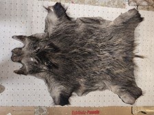 Wildschweinfell echtfell jagdt gebraucht kaufen  Beselich
