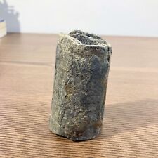 Fossile marin bélemnite d'occasion  Saint-Genest-Malifaux