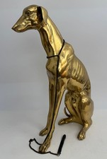 greyhound dog for sale  UK