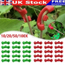 100x degree plant for sale  LEICESTER