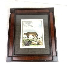 Cougar pensilvanie framed for sale  Cedartown