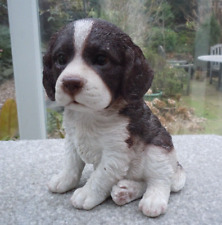 Springer spaniel puppy for sale  LEICESTER