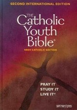 Catholic youth bible for sale  UK