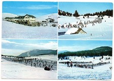 Folgaria trento maratona usato Folgaria trento maratona usato  Corinaldo