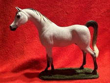 Picture perfect arabian for sale  Pine Bluff