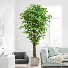 6.2ft ficus artificial for sale  Brentwood