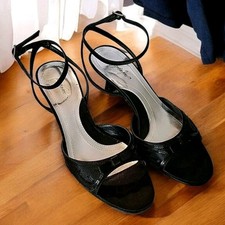 Black satin kitten for sale  Bothell