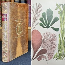 1905 The Common Objects of the Sea-Shore Including Hints for an Aquarium comprar usado  Enviando para Brazil