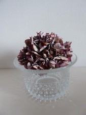 Vintage krokus glasschale gebraucht kaufen  Springe