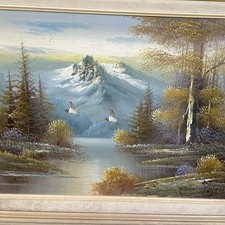river birds flying for sale river birds flying for sale Winchendon