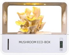 Mushroom grow box for sale  SALFORD