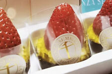Fragole giapponesi costose usato  Trappeto
