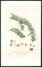 1837 baxter botanical d'occasion  Expédié en Belgium