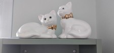 Kätzchen katze weiß gebraucht kaufen  Berlin