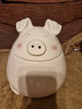 Spotted dog pig for sale  BRIGHTON