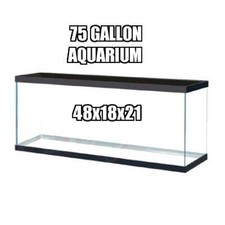 Gallon smaller glass for sale  Monticello