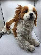 Dog king charles for sale  Akron