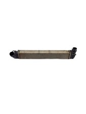 RENAULT SCENIC III 1.4 B. Intercooler radiator Ladeluftkühler 144960006r, usado comprar usado  Enviando para Brazil