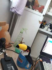 Toucan plush for sale  CALDICOT