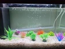 Acquario completo con usato  Milano