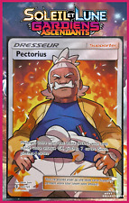 Carte pokémon pectorius d'occasion  Rilhac-Rancon