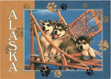 Alaska alaskan malamute for sale  Lakewood