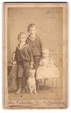 Fotografie alex canisius gebraucht kaufen  Berlin