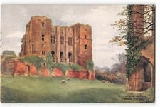 Postcard kenilworth castle for sale  Sebastian