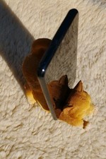 katze deko gebraucht kaufen katze deko gebraucht kaufen Ostfildern