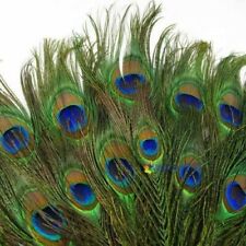 20pcs real natural for sale  Norwalk