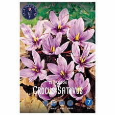 Lefeber bulbi fiore usato  Spedire a Italy