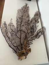 Piece natural vintage for sale  CANNOCK