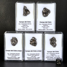 Meteorit Ferreuse Campo Del Cielo Kristall 5 Rechts 6 G IN Ihre Dose Argentinien comprar usado  Enviando para Brazil
