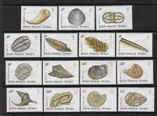 british fossils for sale british fossils for sale LOUGHBOROUGH