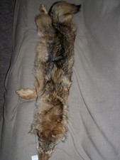 Coyote pelt hide for sale  Chadron