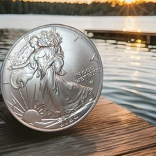 2024 silver eagle for sale  Edmonds