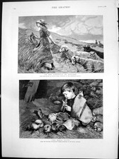 Old sandhills jutland for sale  UK