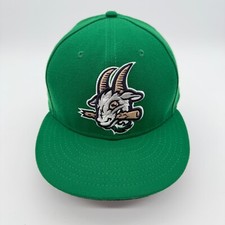 Hartford yard goats for sale  Lexington