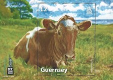 2016 guernsey ms1614 for sale  LANCASTER