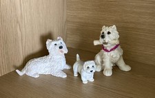 castagna gebraucht kaufen castagna gebraucht kaufen Saarbrücken